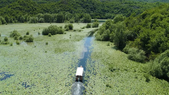 Motor Boat Floats on a Crnojevica River Framed By Water Lilies