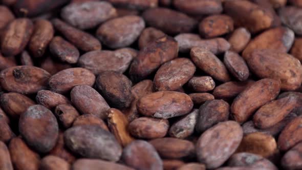 Roasted Cocoa Beans Making Drinks Chocolate Desserts