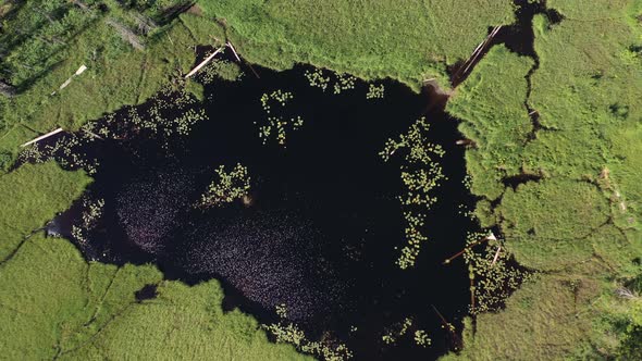 Aerial top down drone view of little lake surrounded by boggy ground in Oregon. alt