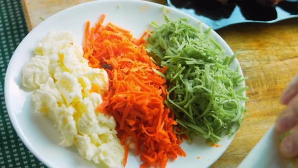 The Chef Puts on the Table a Plate with Mozzarella Cheese Red and Green Grand Pesto alt