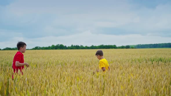 Boy throws starw hat on brother`s head.  alt
