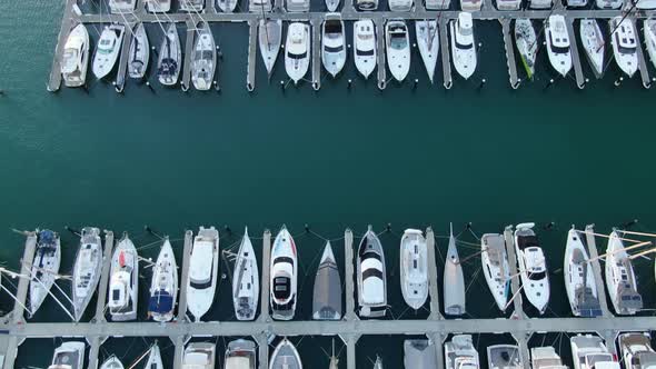 Viaduct Harbour, Auckland New Zealand alt