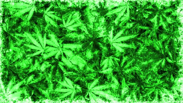 Marijuana Grunge 001011