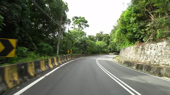 Asphalt road at forest view alt