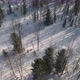 Aerial View of Winter Forest Nature Snow Covered Trees Siberia Landscape Evening Sunset - VideoHive Item for Sale