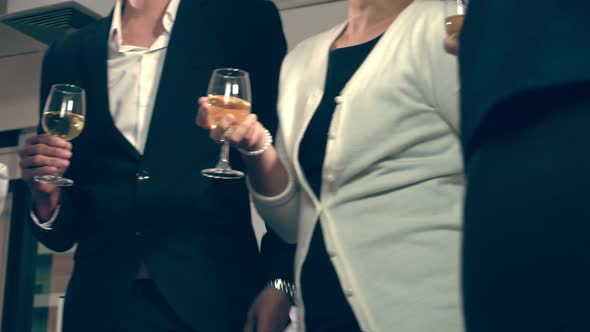 Successful Business People Drink Wine and Champagne in Ball Room Dinner Feast alt