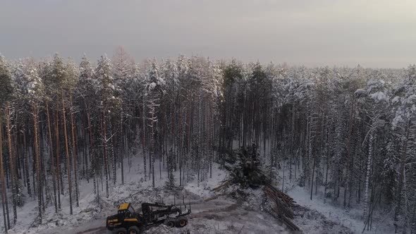 Forest harvester and forwarder drive into the winter forest 08 alt
