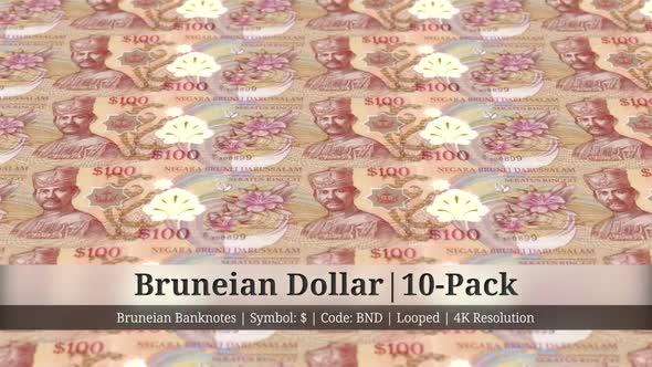 Bruneian Dollar | Brunei Currency - 10 Pack | 4K Resolution | Looped alt