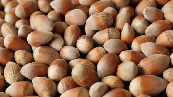 Panning over whole organic hazelnuts on the table close-up 4K 2160p 30fps UHD  footage - Heap of Cor alt