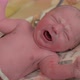 Newborn Baby at Hospital - VideoHive Item for Sale