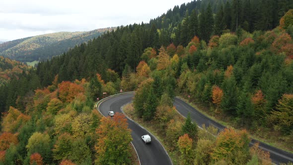 Aerial Following Cars Driving and Turning on a Bended Road Through the Beautiful Mixed Colorful Autu alt