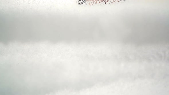 Cleaning Service Worker or Housewife Washes the Windows with Special Foam and a Scraper alt