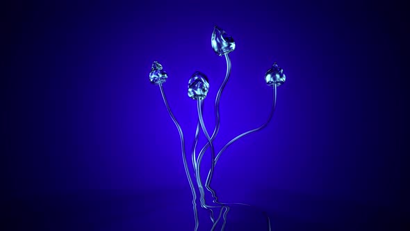 Animation of the magic mushroom Psilocybe Semilanceata	 alt