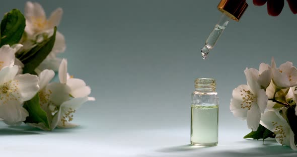 Jasmine Essential Oil is Dripped Into a Dropper on a Background of Jasmine alt