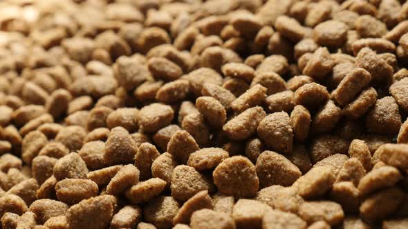 Panning on brown pet dry food close-up  4K 2160p 30fps UltraHD footage - Shallow DOF pile of cat or  alt