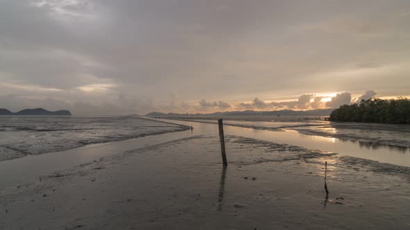 Timelapse sunset hour at the muddy mangrove area with mudskippers alt