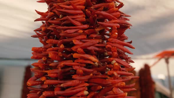 Bundle of Red Peppers Dry in the Sun