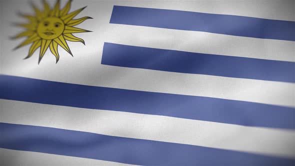 Uruguay Flag alt