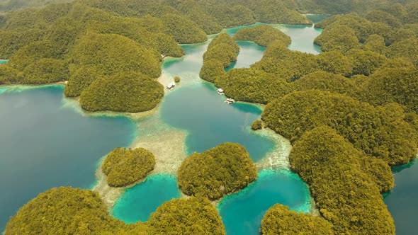 Seascape with Lagoons and Islands alt