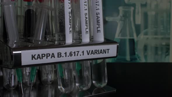 Kappa B.1.617.1 Test Tube Samples Being Removed From Rack. Close Up, Locked Off alt
