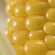 Super macro of corn grains. - VideoHive Item for Sale