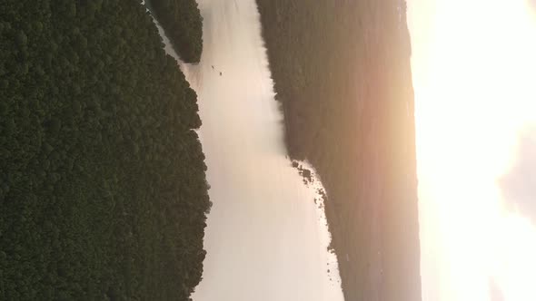Zanzibar Tanzania  Ocean Shore Covered with Green Thickets Vertical Video Aerial View alt