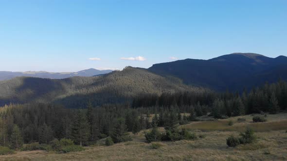 Beautiful Mountainous Area. Forest in the Mountains. View From Above. Trees Grow on Hills. Ukrainian