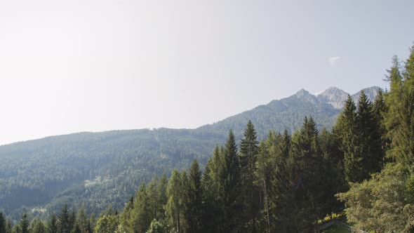 Summer in the Austrian Alps alt