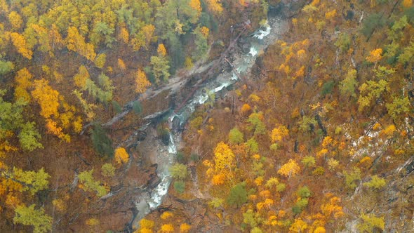 Mountain river in the forest Autumn snowfall Eastern Sayan Siberia Buryatia Arshan alt