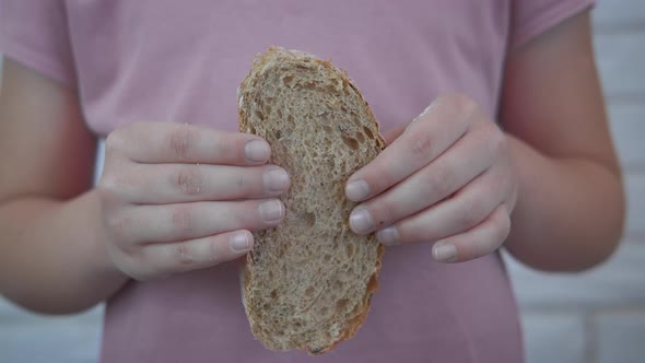 A Piece of Grey Bread alt