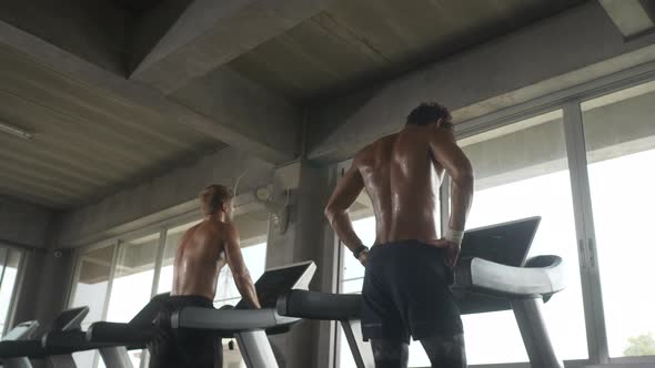 Strong man training workout exercise in fitness gym, sport body muscular bodybuilding lifestyle alt