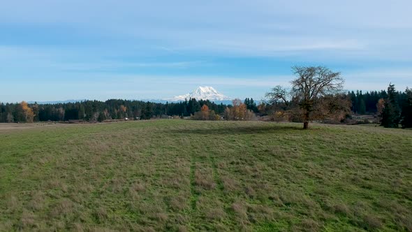 A beautiful crisp fall day in Washington State.  Ariel footage of green pasture with the snow-capped alt