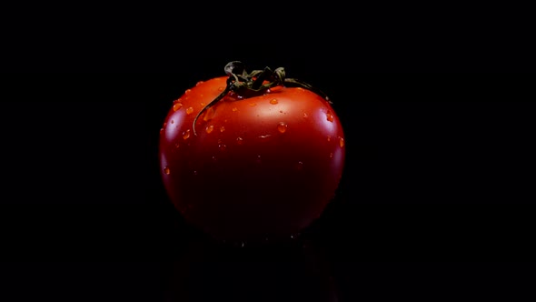 Red perfect tomato rotating on a black background. Fresh and firm tomato in 4K