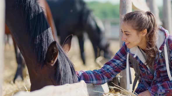 Affectionate Young Girl in Casual Jacket Stroking Horse on Countryside Farm or Ranch alt
