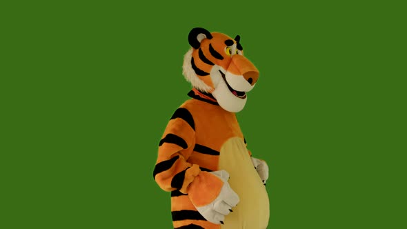 Tiger Dances on Green Screen Chromakey 422 10 Bit Belly Dance alt