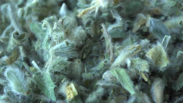 Rotating Astragalus Herbal alt