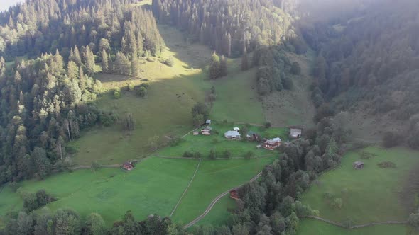 Aerial View of the Carpathian Mountain Valley with Green Meadows and Trees alt