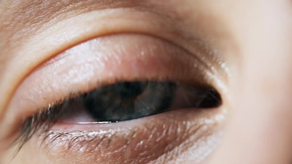 Beautiful Blue Woman Eye, Extreme Close-up. Sight. Detail View Young Girl's Eye alt