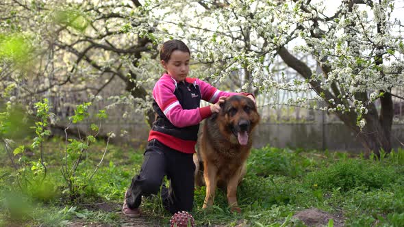 Little Blond Girl is Looking on the Shepherd Dog Outdoors in the Park