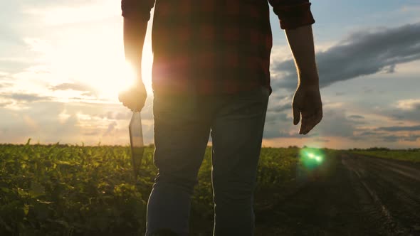 Smart Agriculture Technology Farmer Holding Tablet with Smart Technology alt