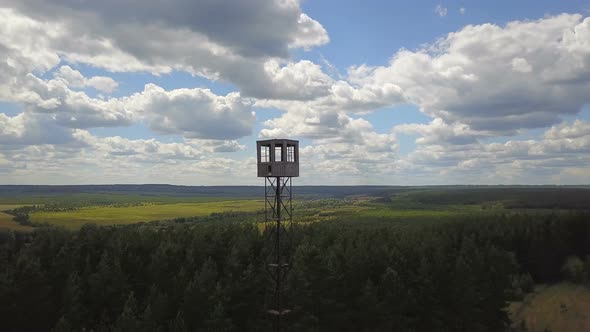 Fire Tower In The Forest