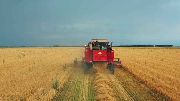 Aerial Elevated View Of Rural Landscape With Working Combine Harvester In Wheat Field Collects Seeds alt