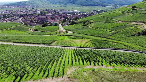 Green vineyards and winding road, town seen at distance, aerial shot of Alsace