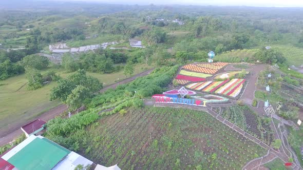 Aerial View of a Flower Garden in Philippines