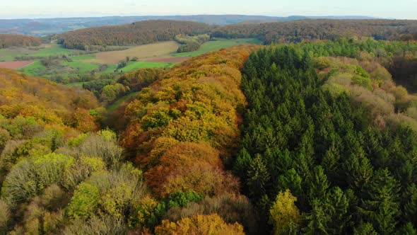 drone flight over beautiful autumn colored forest and autumn landscape alt