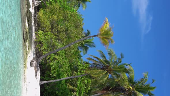 Whole Tropical Island with Palm Trees in Wild Ocean alt