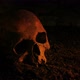 Old Skull On The Ground In Fire Glow - VideoHive Item for Sale