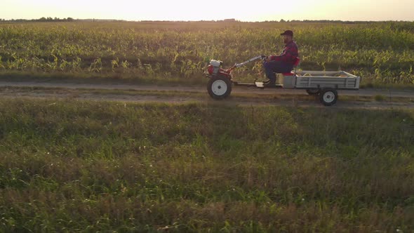 Farmer Transports the Crop on a Mini Tractor alt