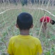 Rural Boy Walking In Vegetables Garden - VideoHive Item for Sale