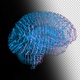 Computer Model of the Human Brain  - VideoHive Item for Sale